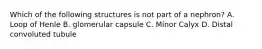 Which of the following structures is not part of a nephron? A. Loop of Henle B. glomerular capsule C. Minor Calyx D. Distal convoluted tubule