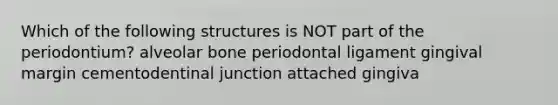 Which of the following structures is NOT part of the periodontium? alveolar bone periodontal ligament gingival margin cementodentinal junction attached gingiva