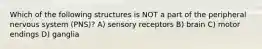 Which of the following structures is NOT a part of the peripheral nervous system (PNS)? A) sensory receptors B) brain C) motor endings D) ganglia