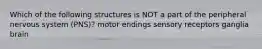 Which of the following structures is NOT a part of the peripheral nervous system (PNS)? motor endings sensory receptors ganglia brain