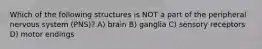 Which of the following structures is NOT a part of the peripheral nervous system (PNS)? A) brain B) ganglia C) sensory receptors D) motor endings