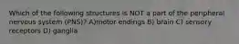 Which of the following structures is NOT a part of the peripheral nervous system (PNS)? A)motor endings B) brain C) sensory receptors D) ganglia