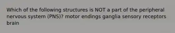 Which of the following structures is NOT a part of the peripheral <a href='https://www.questionai.com/knowledge/kThdVqrsqy-nervous-system' class='anchor-knowledge'>nervous system</a> (PNS)? motor endings ganglia <a href='https://www.questionai.com/knowledge/kZxhe8RZQ3-sensory-receptors' class='anchor-knowledge'>sensory receptors</a> brain