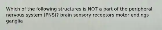 Which of the following structures is NOT a part of the peripheral nervous system (PNS)? brain sensory receptors motor endings ganglia