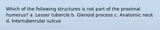 Which of the following structures is not part of the proximal humerus? a. Lesser tubercle b. Glenoid process c. Anatomic neck d. Intertubercular sulcus