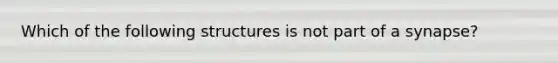 Which of the following structures is not part of a synapse?