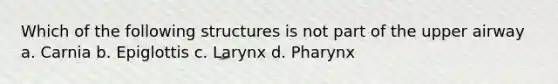 Which of the following structures is not part of the upper airway a. Carnia b. Epiglottis c. Larynx d. Pharynx