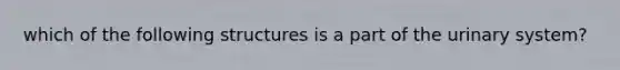 which of the following structures is a part of the urinary system?