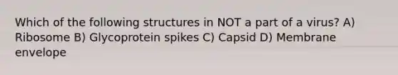 Which of the following structures in NOT a part of a virus? A) Ribosome B) Glycoprotein spikes C) Capsid D) Membrane envelope