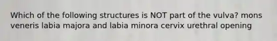 Which of the following structures is NOT part of the vulva? mons veneris labia majora and labia minora cervix urethral opening