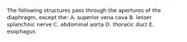 The following structures pass through the apertures of the diaphragm, except the: A. superior vena cava B. lesser splanchnic nerve C. abdominal aorta D. thoracic duct E. esophagus