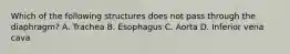 Which of the following structures does not pass through the diaphragm? A. Trachea B. Esophagus C. Aorta D. Inferior vena cava