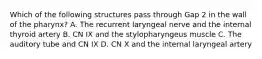 Which of the following structures pass through Gap 2 in the wall of the pharynx? A. The recurrent laryngeal nerve and the internal thyroid artery B. CN IX and the stylopharyngeus muscle C. The auditory tube and CN IX D. CN X and the internal laryngeal artery