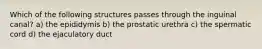 Which of the following structures passes through the inguinal canal? a) the epididymis b) the prostatic urethra c) the spermatic cord d) the ejaculatory duct