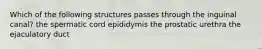 Which of the following structures passes through the inguinal canal? the spermatic cord epididymis the prostatic urethra the ejaculatory duct