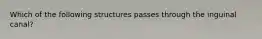 Which of the following structures passes through the inguinal canal?