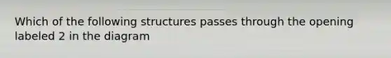 Which of the following structures passes through the opening labeled 2 in the diagram