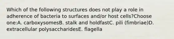 Which of the following structures does not play a role in adherence of bacteria to surfaces and/or host cells?Choose one:A. carboxysomesB. stalk and holdfastC. pili (fimbriae)D. extracellular polysaccharidesE. flagella