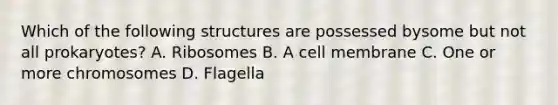 Which of the following structures are possessed bysome but not all prokaryotes? A. Ribosomes B. A cell membrane C. One or more chromosomes D. Flagella