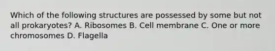 Which of the following structures are possessed by some but not all prokaryotes? A. Ribosomes B. Cell membrane C. One or more chromosomes D. Flagella