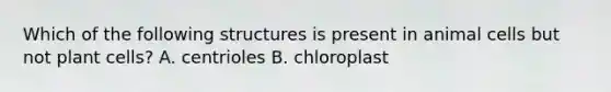 Which of the following structures is present in animal cells but not plant cells? A. centrioles B. chloroplast