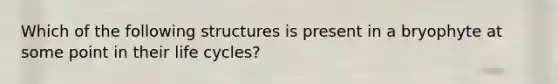 Which of the following structures is present in a bryophyte at some point in their life cycles?