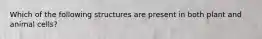 Which of the following structures are present in both plant and animal cells?