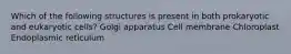 Which of the following structures is present in both prokaryotic and eukaryotic cells? Golgi apparatus Cell membrane Chloroplast Endoplasmic reticulum