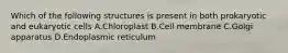 Which of the following structures is present in both prokaryotic and eukaryotic cells A.Chloroplast B.Cell membrane C.Golgi apparatus D.Endoplasmic reticulum