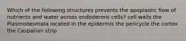 Which of the following structures prevents the apoplastic flow of nutrients and water across endodermis cells? cell walls the Plasmodesmata located in the epidermis the pericycle the cortex the Casparian strip