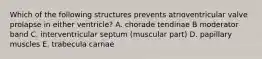 Which of the following structures prevents atrioventricular valve prolapse in either ventricle? A. chorade tendinae B moderator band C. interventricular septum (muscular part) D. papillary muscles E. trabecula carnae