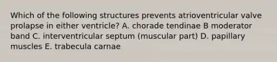 Which of the following structures prevents atrioventricular valve prolapse in either ventricle? A. chorade tendinae B moderator band C. interventricular septum (muscular part) D. papillary muscles E. trabecula carnae