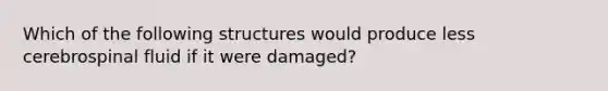 Which of the following structures would produce less cerebrospinal fluid if it were damaged?