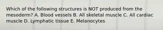 Which of the following structures is NOT produced from the mesoderm? A. Blood vessels B. All skeletal muscle C. All cardiac muscle D. Lymphatic tissue E. Melanocytes