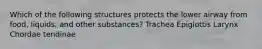 Which of the following structures protects the lower airway from food, liquids, and other substances? Trachea Epiglottis Larynx Chordae tendinae