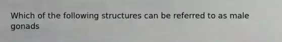 Which of the following structures can be referred to as male gonads