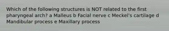 Which of the following structures is NOT related to the first pharyngeal arch? a Malleus b Facial nerve c Meckel's cartilage d Mandibular process e Maxillary process