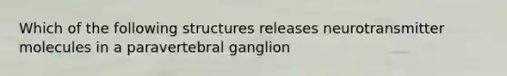 Which of the following structures releases neurotransmitter molecules in a paravertebral ganglion