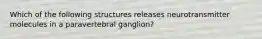 Which of the following structures releases neurotransmitter molecules in a paravertebral ganglion?