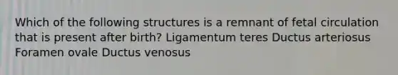 Which of the following structures is a remnant of fetal circulation that is present after birth? Ligamentum teres Ductus arteriosus Foramen ovale Ductus venosus