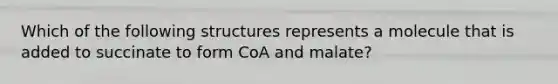 Which of the following structures represents a molecule that is added to succinate to form CoA and malate?