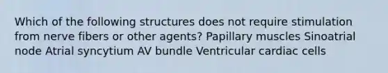 Which of the following structures does not require stimulation from nerve fibers or other agents? Papillary muscles Sinoatrial node Atrial syncytium AV bundle Ventricular cardiac cells