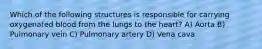 Which of the following structures is responsible for carrying oxygenated blood from the lungs to the heart? A) Aorta B) Pulmonary vein C) Pulmonary artery D) Vena cava