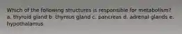 Which of the following structures is responsible for metabolism? a. thyroid gland b. thymus gland c. pancreas d. adrenal glands e. hypothalamus