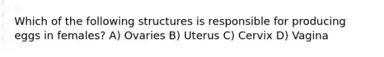 Which of the following structures is responsible for producing eggs in females? A) Ovaries B) Uterus C) Cervix D) Vagina