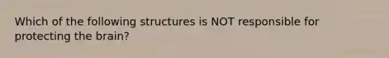 Which of the following structures is NOT responsible for protecting the brain?