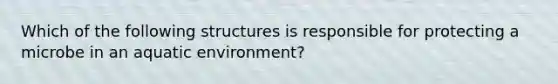 Which of the following structures is responsible for protecting a microbe in an aquatic environment?