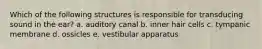 Which of the following structures is responsible for transducing sound in the ear? a. auditory canal b. inner hair cells c. tympanic membrane d. ossicles e. vestibular apparatus