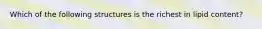 Which of the following structures is the richest in lipid content?