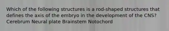 Which of the following structures is a rod-shaped structures that defines the axis of the embryo in the development of the CNS? Cerebrum Neural plate Brainstem Notochord